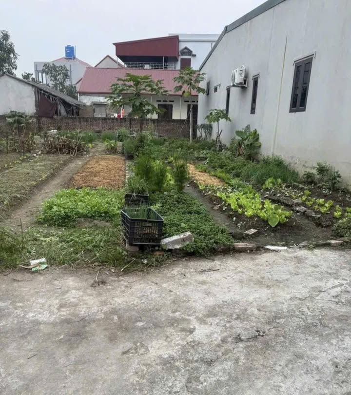 Đất thổ cư 70m² phường Bạch Sam, Mỹ Hào giá 1 tỷ - Đường trước đất 3,8m!