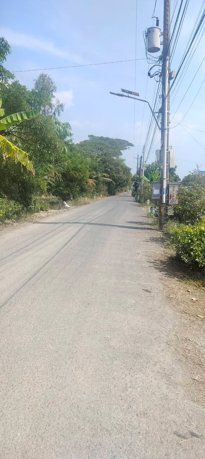 Đất Farm 50,000m² xã Mỹ Phú Đông, An Giang - Gần chợ, giá 115 tỷ VND!