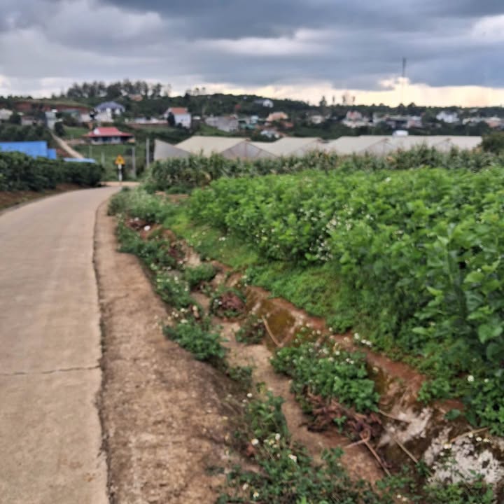 Đất nền thổ cư 5000m² Huyện Lâm Hà chỉ 2.2 tỷ - Cơ hội đầu tư tuyệt vời!