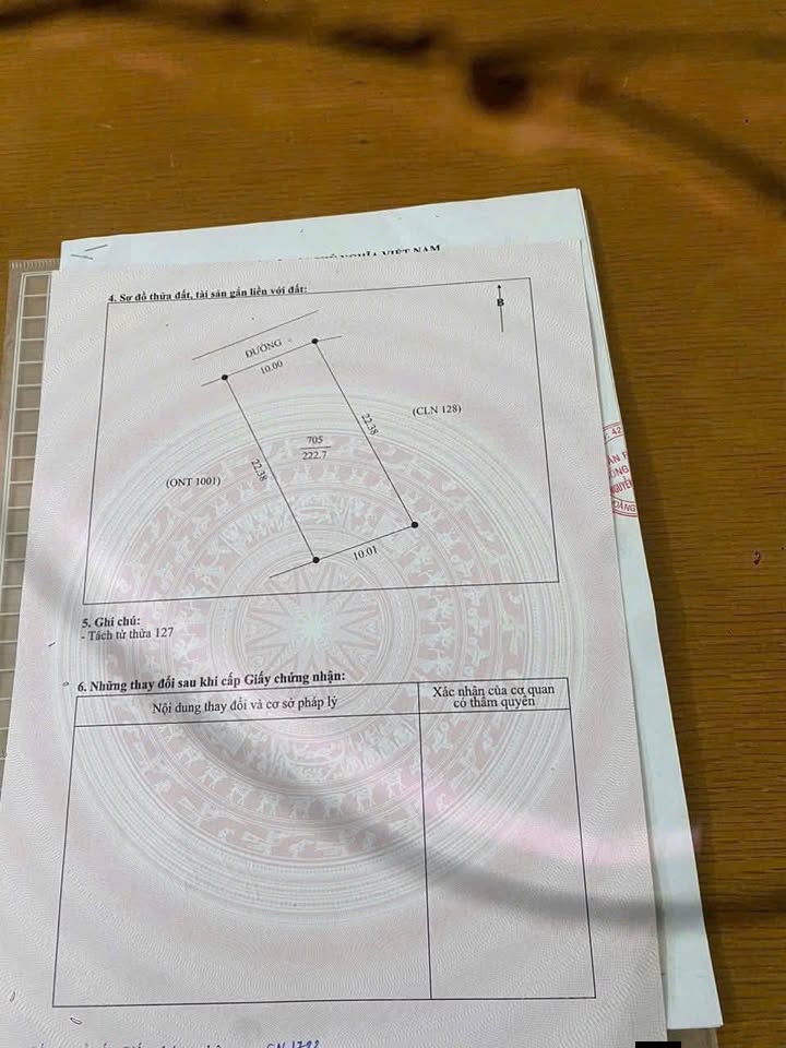 Đất nền thôn 9 Quỳnh Lộc 220m² giá 1.2 tỷ - Cơ hội đầu tư tuyệt vời!