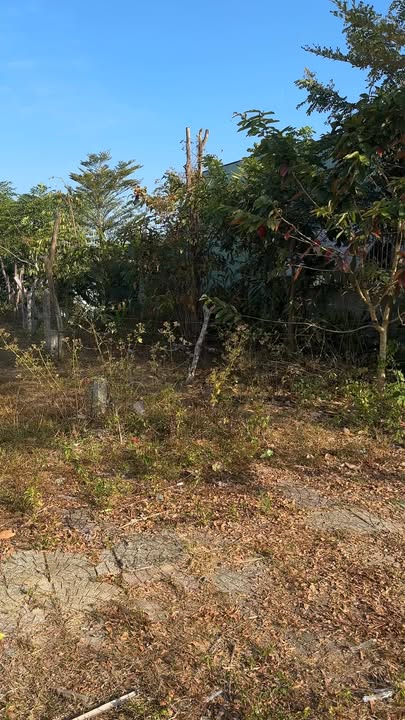 Đất nền đường N3 Thị trấn Sa Thầy 162m² giá 600 triệu - Đầu tư sinh lời ngay!