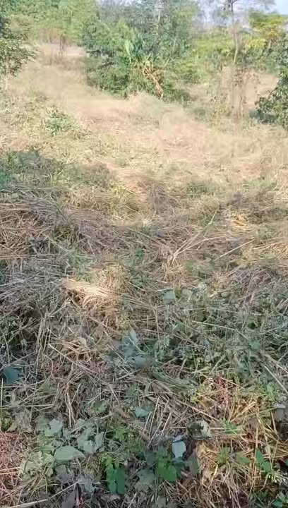 Đất nông nghiệp 24.120m² tại Xã Ia Me, Huyện Chư Prông - Giá chỉ 600 triệu