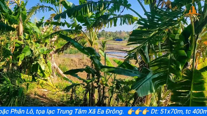 Đất nền vàng đầu tư tại xã Ea Drông, Buôn Hồ - 3.570m² chỉ 90 triệu/m², thương lượng ngay!