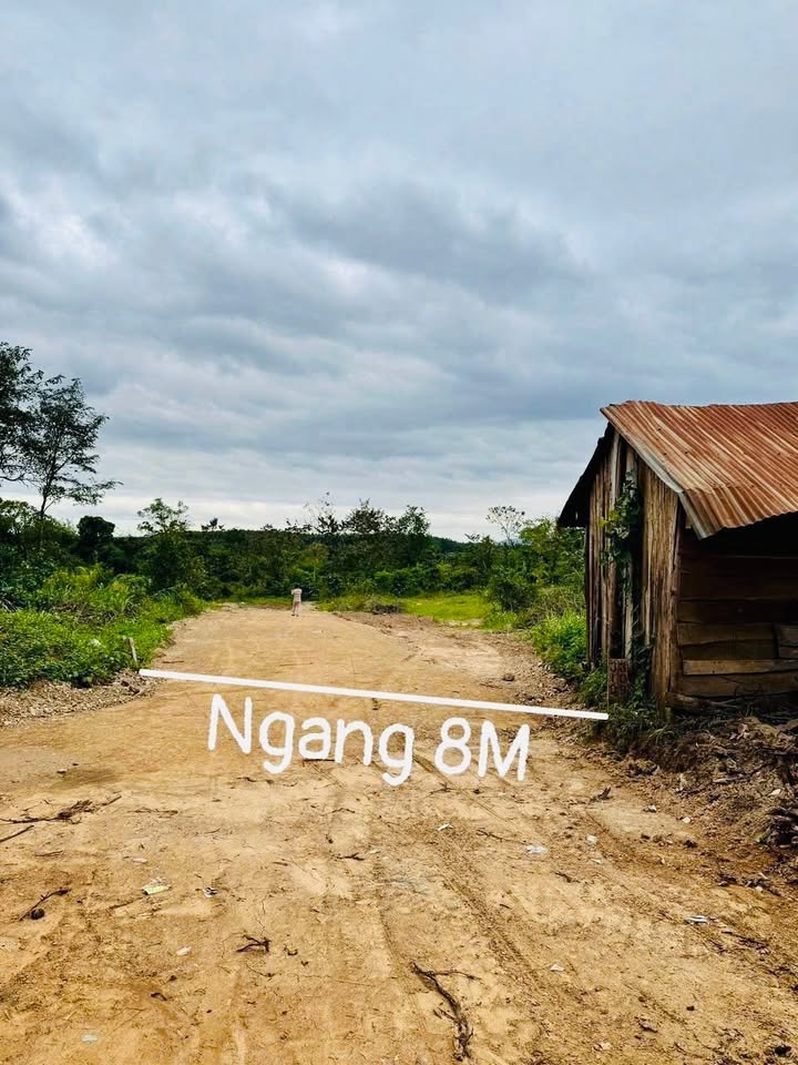Đất nền Quảng Hiệp, Cư M'gar, Đắk Lắk 500m² chỉ 139 triệu - Cơ hội đầu tư tuyệt vời!