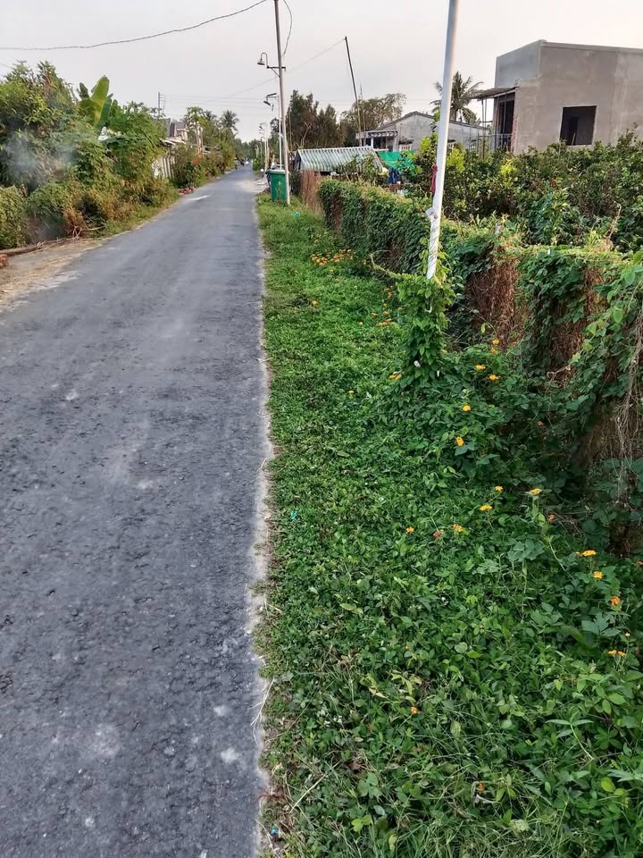 Đất nền 1000m² xã Trà Côn, Vĩnh Long - Mặt tiền đường nhựa, giá tốt!