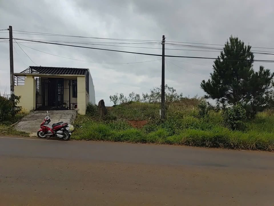 Đất nền Lộc An, Bảo Lâm 250m² giá chỉ 1 tỷ - Cơ hội đầu tư sinh lời!