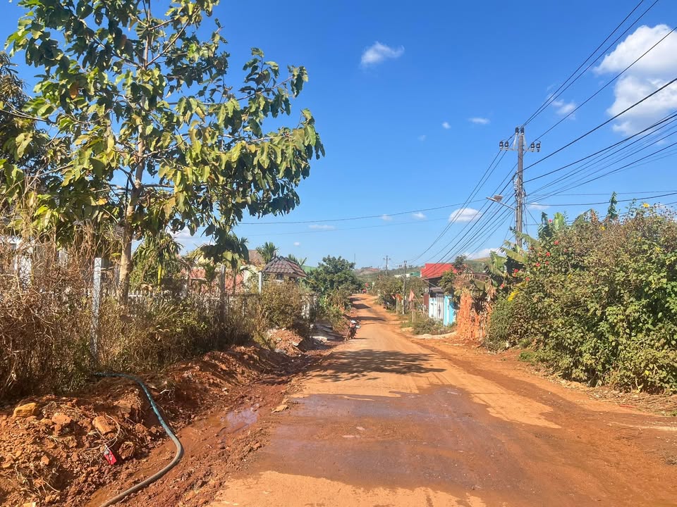 Đất thổ cư Thôn 4, xã Trường Xuân 800m² giá 1.25 tỷ - Vị trí kinh doanh đắc địa!