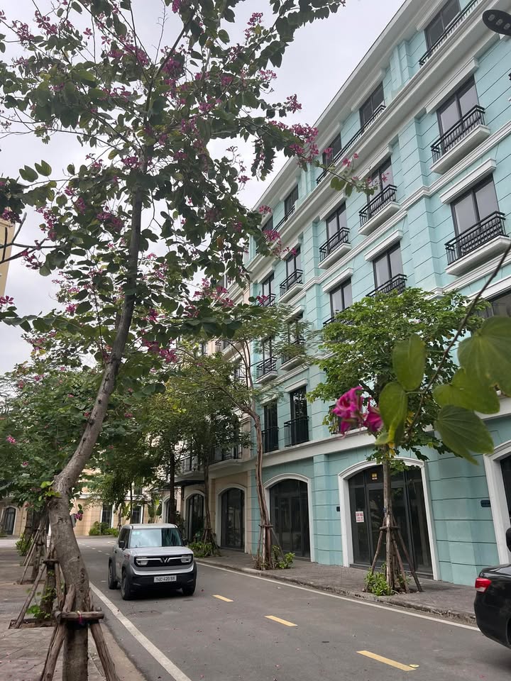 Townhouse Harbor Bay Phúc Tân 72m² giá 7 tỷ - Cơ hội đầu tư hiếm có!