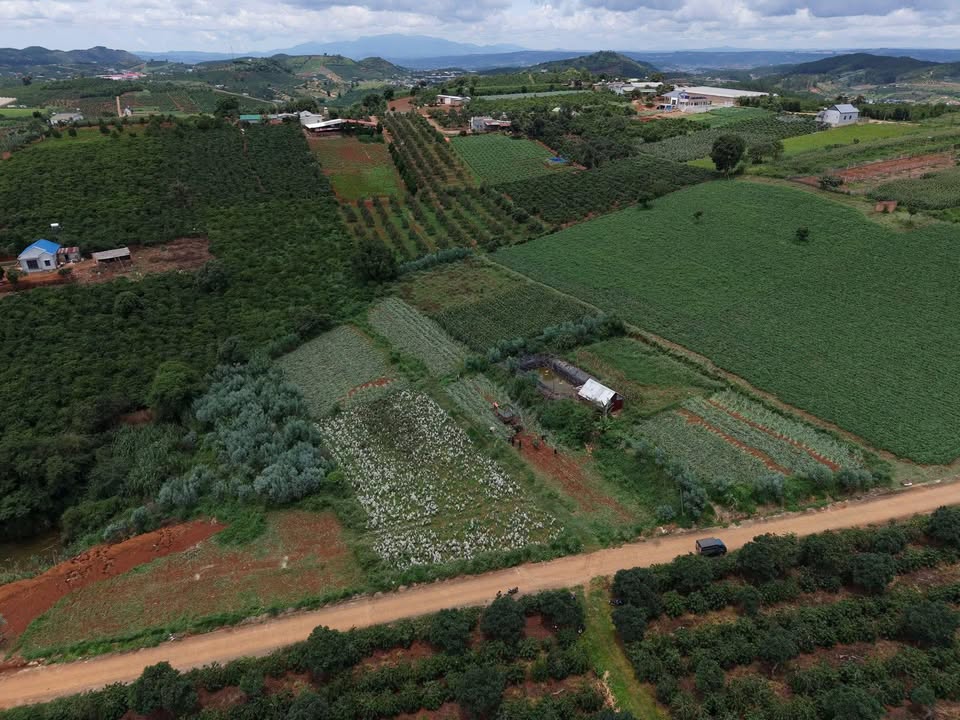 Đất nền Phường Nam Hà 360m² giá 999 triệu - Bán gấp trong dịp Tết!