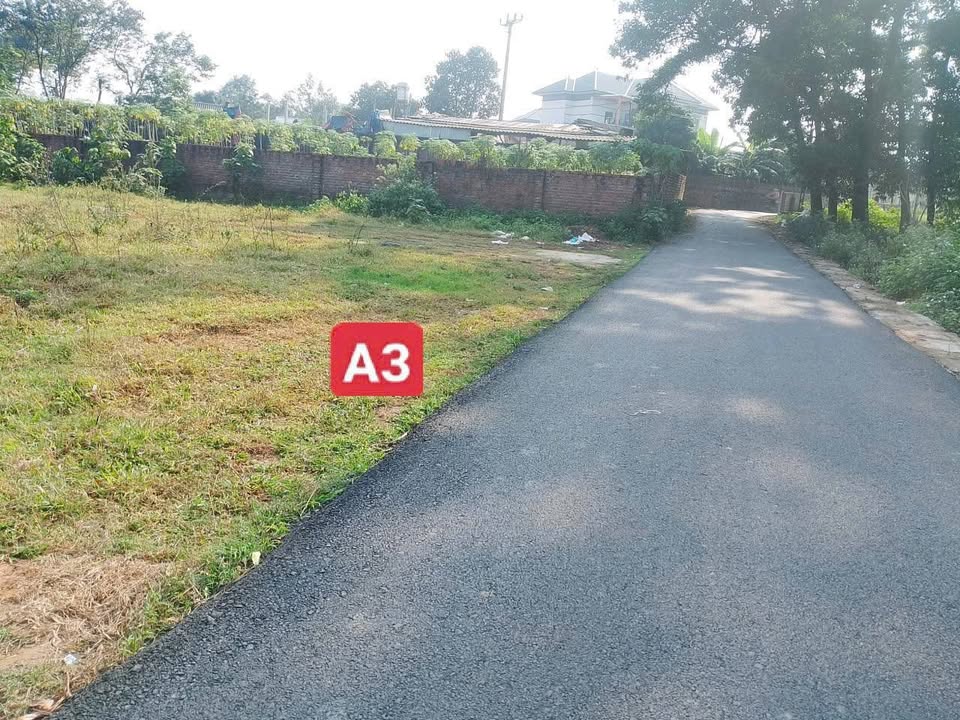 Đất thổ cư mặt đường Hoàng Hoa, Tam Dương 100m² giá chỉ 800 triệu - Đầu tư sinh lời ngay!