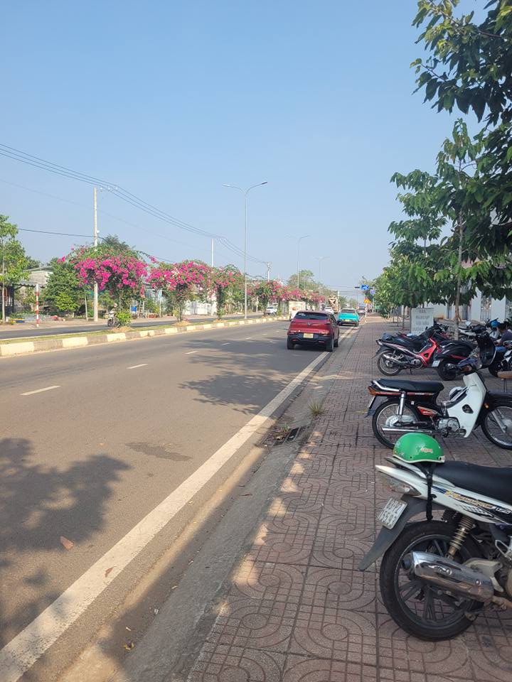 Đất nền Tân Bình 513m² giá 1.7 tỷ - Mặt tiền nhựa thông thoáng!