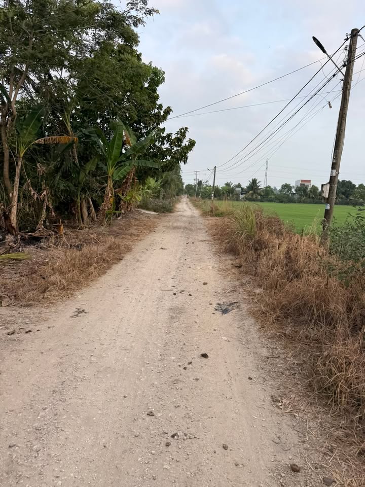 Đất nền đường Đập Nước, Tân Hiệp, Kiên Giang 6600m² giá 2.5 tỷ - Đầu tư sinh lời hấp dẫn!