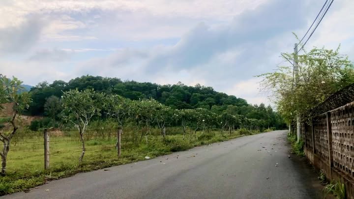 Đất Mặt Tiền Đường Lê Trọng Tấn, TP Bà Rịa 29.000m² - Cơ Hội Đầu Tư Sinh Lời