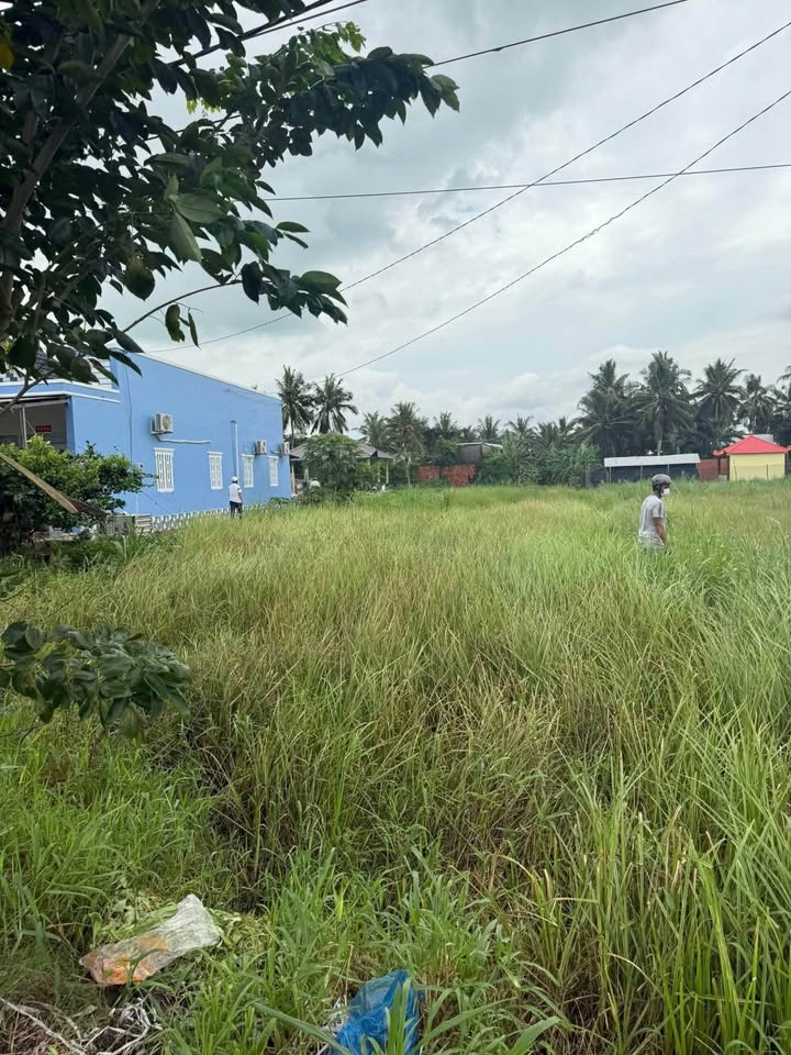 Đất nền 222m² tại Ấp Phú Tân, Cần Thơ - Giá chỉ 600 triệu thương lượng!