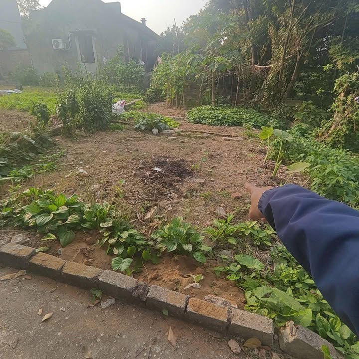 Mảnh đất đẹp 80m² tại Vân Từ, Phú Xuyên - Giá chỉ 1.55 tỷ!