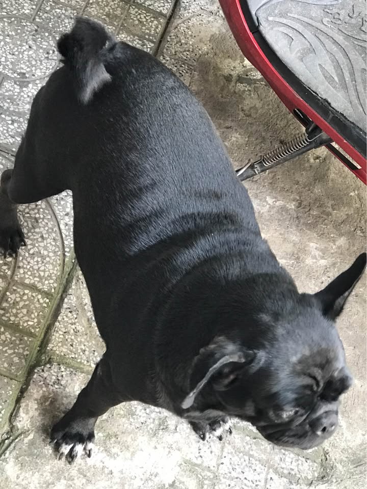 Nhà cho thuê tại Xã Phước Tỉnh, Huyện Long Đất - 2 PN giá 3 triệu/tháng - Thuận tiện vào ở ngay!