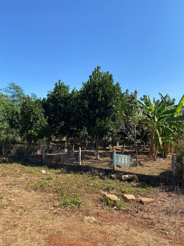 Đất nền liền kề Trần Phú, Gia Lai 350m² - Cơ hội đầu tư tuyệt vời!