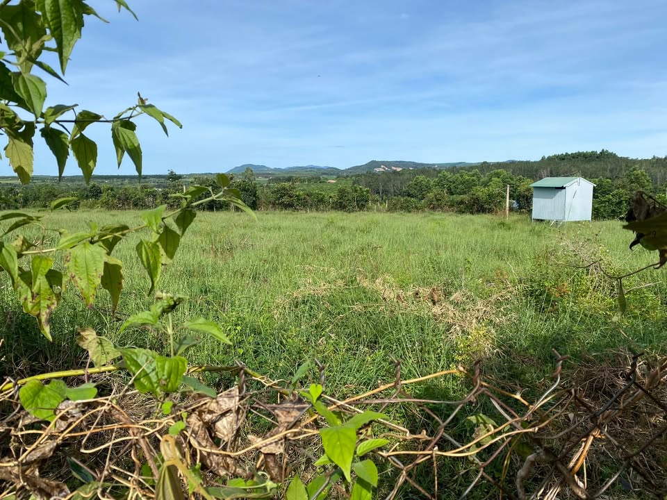 Đất nền 3420m² tại xã Mang Yang - Mặt tiền 120m đường bê tông, giá chỉ 4 tỷ!