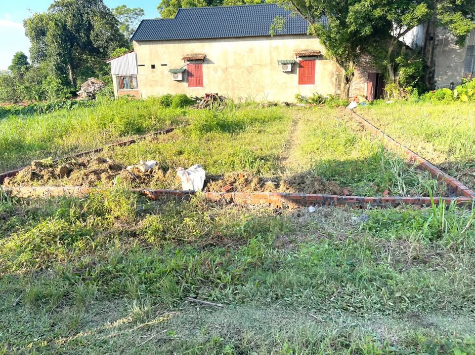 Đất thổ cư 140m² xã Dân Quyền, huyện Tam Nông - Gần trường cấp 2 chỉ 100m!