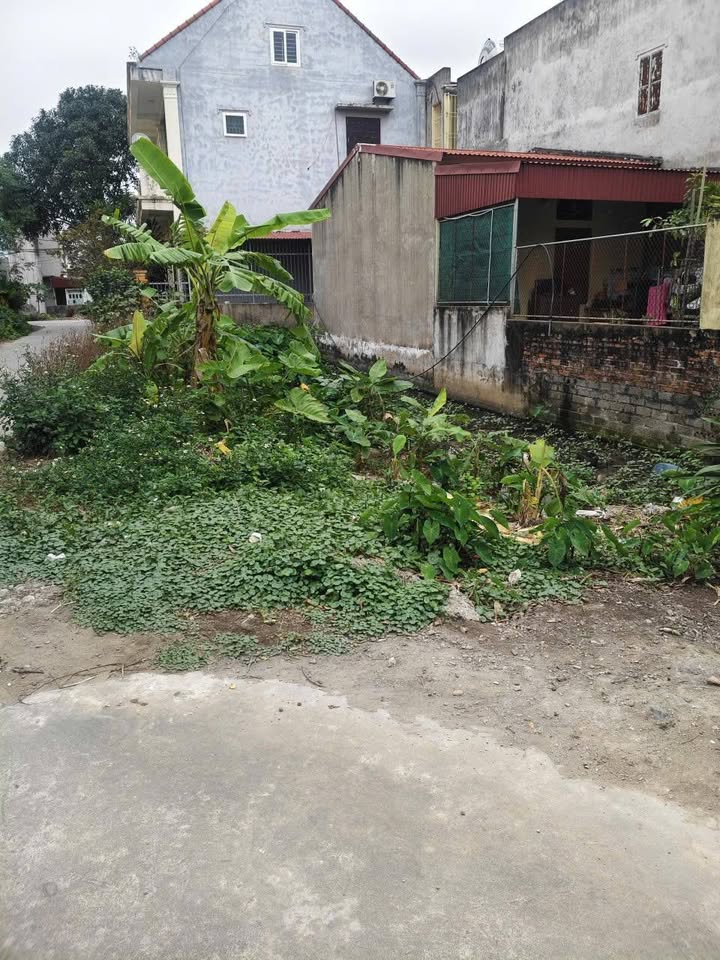 Đất nền phố 5, Thị trấn Yên Ninh, 100m² giá 2 tỷ - Đầu tư sinh lời ngay!