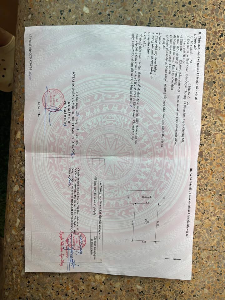 Đất giãn dân 124m² xã Phú Nghĩa giá 3 tỷ - Cơ hội đầu tư hấp dẫn!