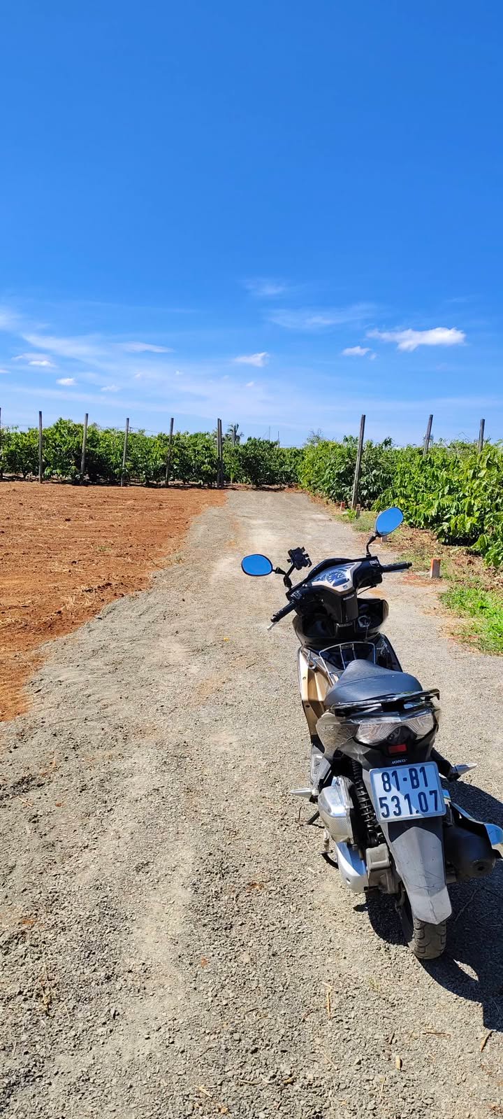 Đất thổ cư tổ 5, Phường Thống Nhất, 140m² chỉ 440 triệu - Cơ hội đầu tư hấp dẫn!