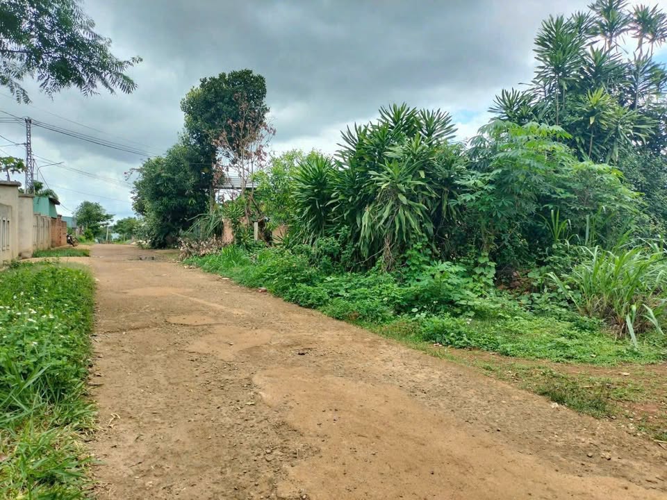 Đất thổ cư Hẻm chính Bùi Viện, An Phú 270m² giá 8 tỷ - Tiềm năng đầu tư cao!