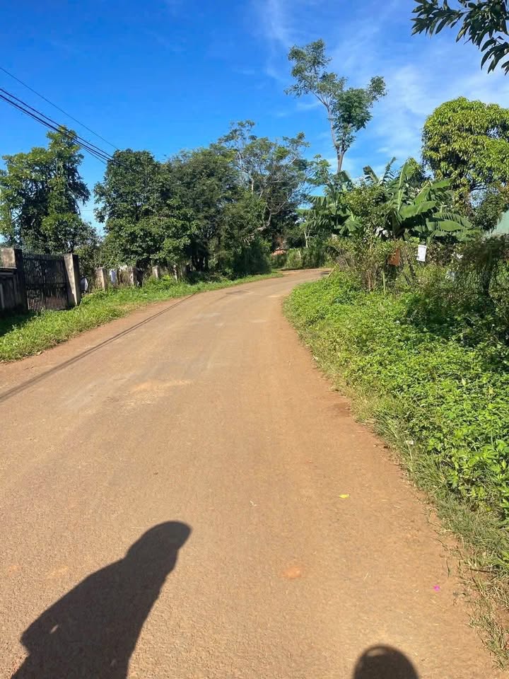 Đất nền mặt tiền Bùi Viện, An Phú, 100m² giá thỏa thuận - Đầu tư sinh lời ngay!