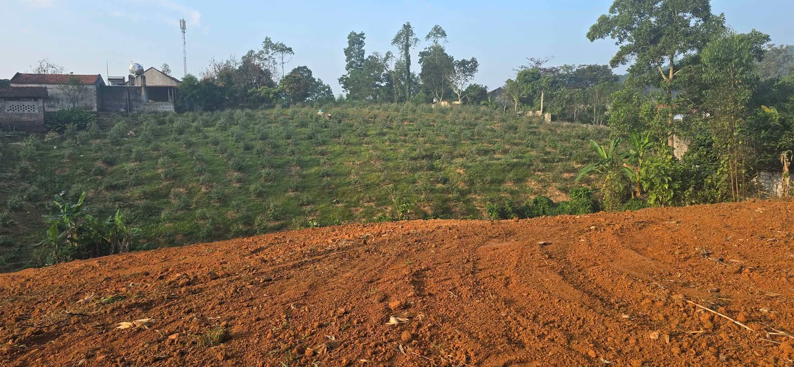 Đất thổ cư 320m² tại Đồng Tiến, Yên Thế, Bắc Giang - 2800m², giá thỏa thuận