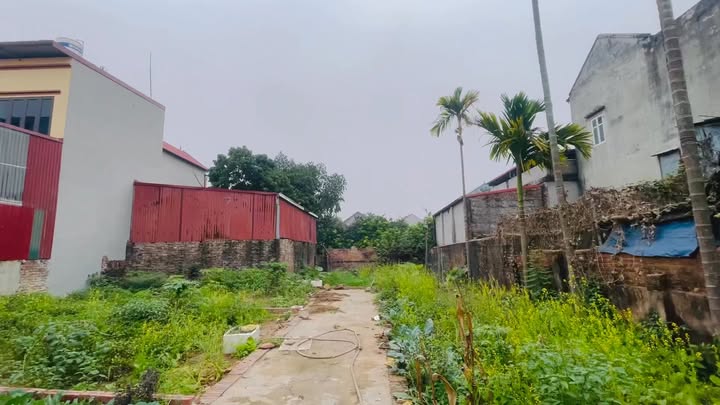 Đất nền Bảo Lộc, Vân Phúc, 71m² giá chỉ 1.3 tỷ - Cơ hội đầu tư tuyệt vời!