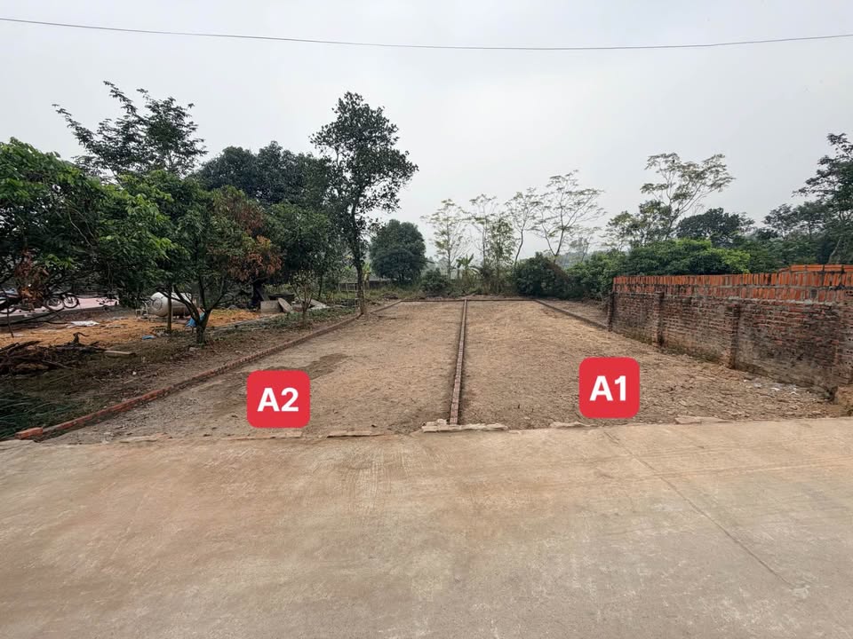 Đất nền Tam Quan, Tam Đảo 230m² giá chỉ 1.2 tỷ - Tiềm năng sinh lời cao!