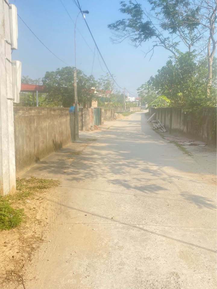 Bán đất Thái Thọ, Nghi Thái 86.7m² hướng Đông Nam - Đầu tư lý tưởng!