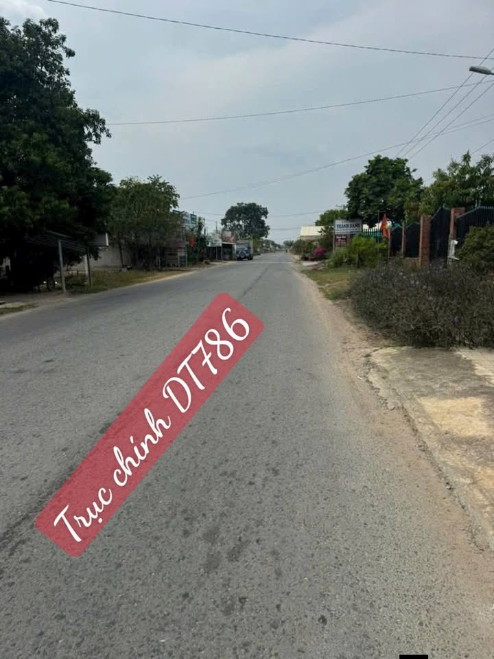 Đất mặt tiền TL 786, Long Chữ, Bến Cầu - Diện tích 1320m², Giá 2.2 tỷ - Đầu tư sinh lời!