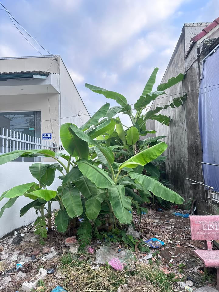 Đất nền thổ cư 70m² khu 923 An Bình giá 1.45 tỷ - Sổ đỏ chính chủ, ô tô vào tận nơi!