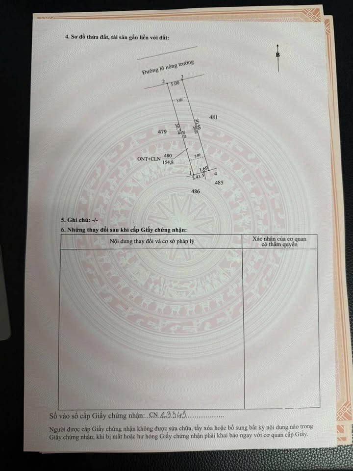 Đất thổ cư 150m² tại xã Thạnh An, huyện Cần Giờ, giá 450 triệu - Đầu tư tiềm năng!