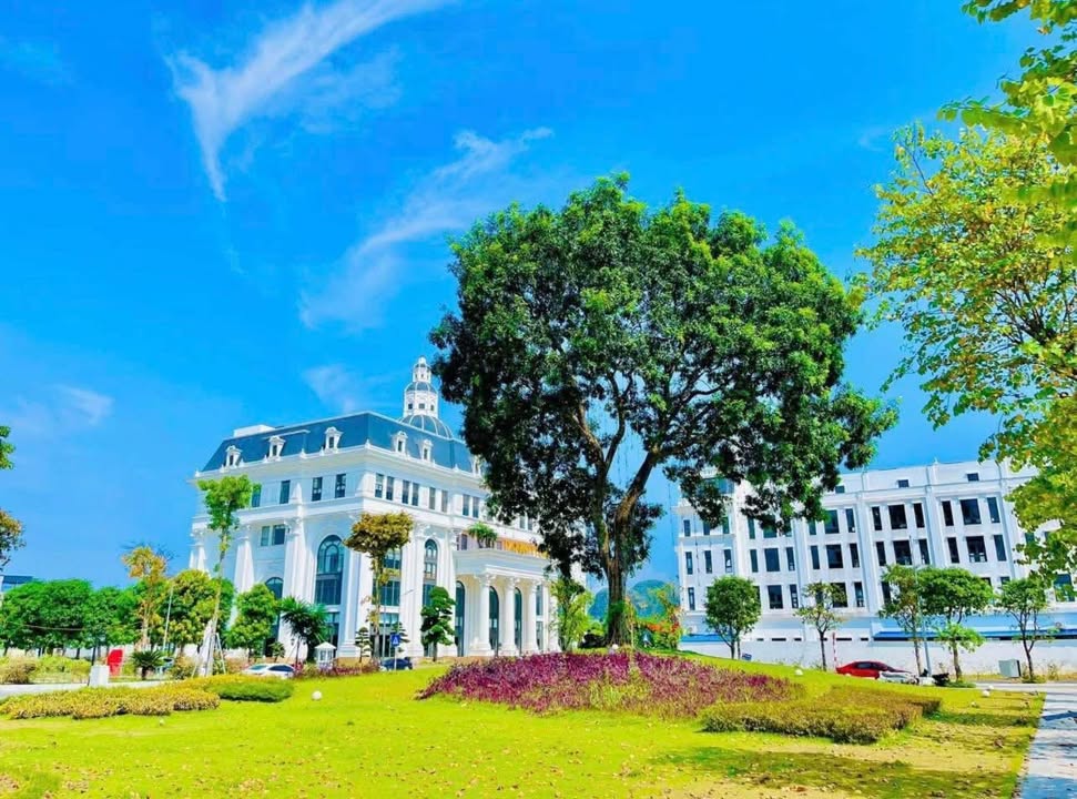 Đất nền Danko City 96m² giá thỏa thuận - View hồ đẹp nhất dự án!