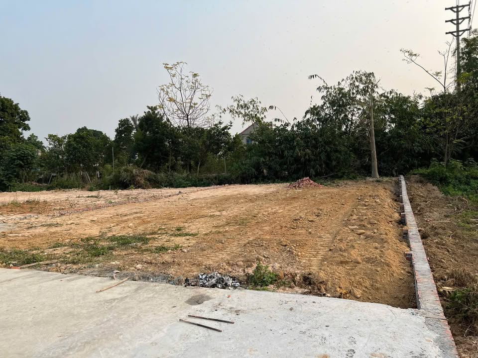 Đất thổ cư 100m² tại Hợp Châu, Tam Đảo - Giá chỉ 1 tỷ, xây nhà vườn đẹp!