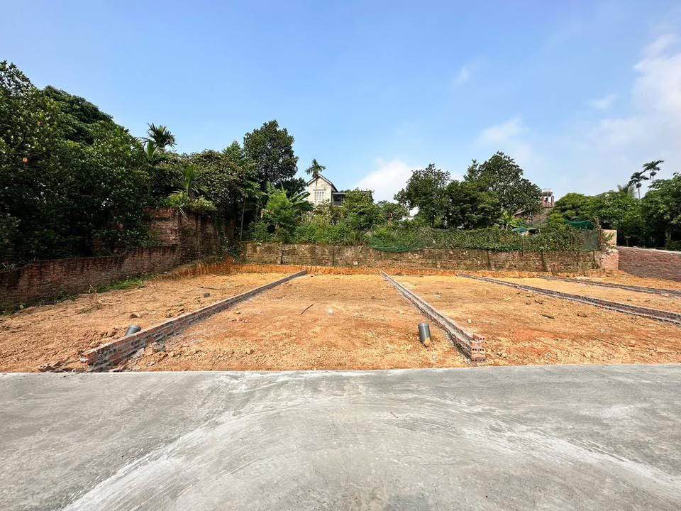 Đất Khu 4 Thanh Đình - Việt Trì 95.7m² giá tốt - Không gian an ninh riêng tư!