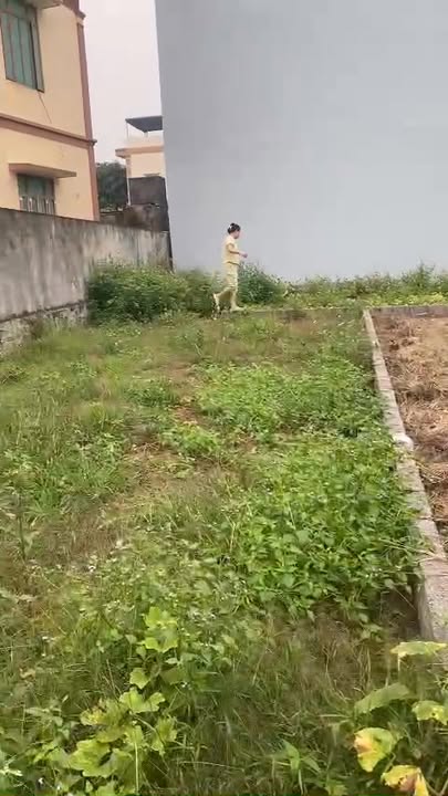 Đất nền lô góc 60m² khu đô thị thể thao quốc tế Olympic - Giá 5.5 tỷ, nhanh tay sở hữu!