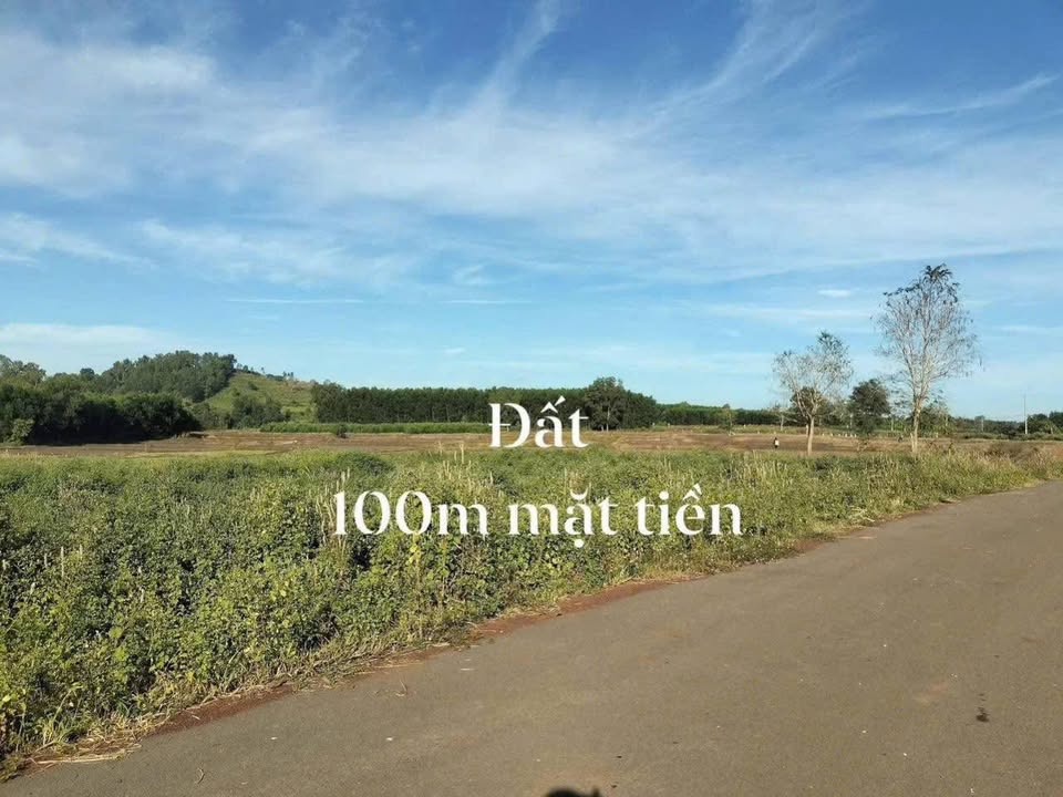 Đất nền 6.400m² Xã Bình Giã - Giá 2.7 tỷ - Mặt tiền đường nhựa rộng rãi!