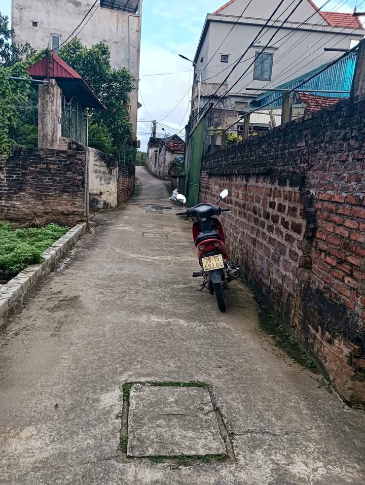 Đất nền Vin Olympic, Gia Lâm 41,2m² giá 2,3 tỷ - Cơ hội đầu tư hấp dẫn!