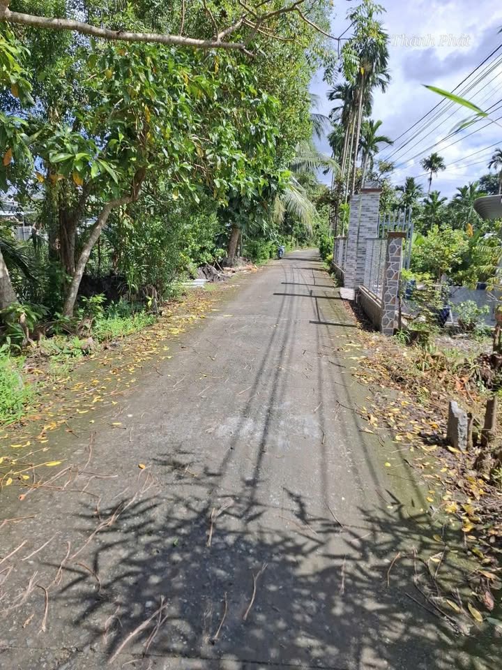 Đất nền Phường An Bình, Cần Thơ 90m² chỉ 830 triệu - Cơ hội đầu tư tuyệt vời!