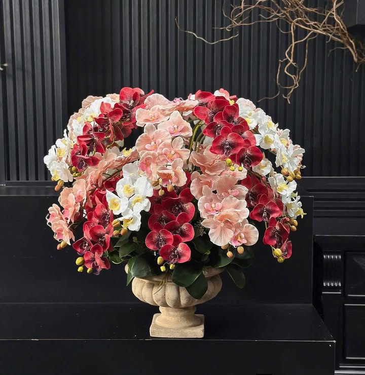 Đất nền Quỳnh Tân, Krông A Na 189m² giá 700 triệu - Cơ hội đầu tư sinh lời!