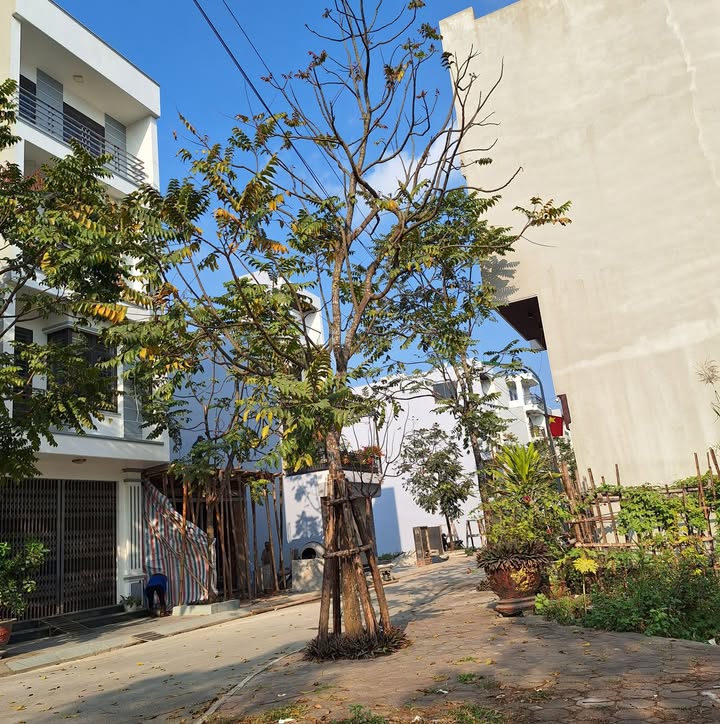 Đất lô góc khu đô thị Mỹ Trung, 62m² - Giá tốt hiếm có!