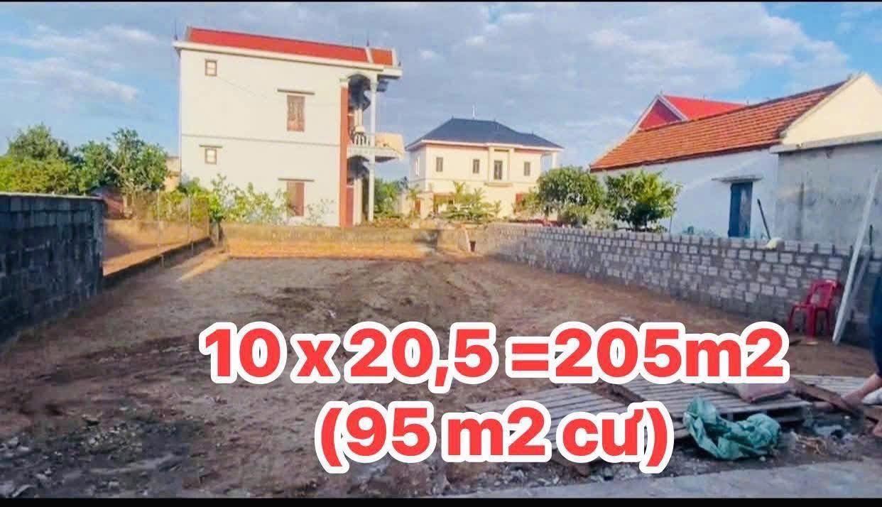 Đất nền xã Giao Phong, Giao Thủy 206m² giá chỉ 1.299 tỷ - Sổ đỏ chính chủ!