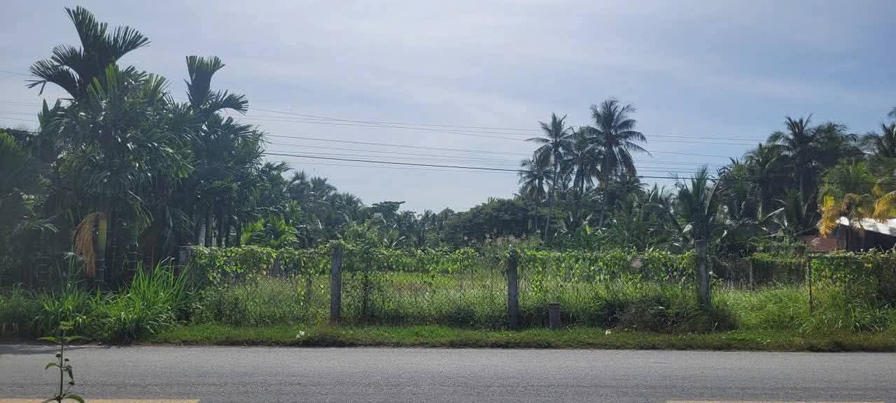 Đất nền 1500m² mặt tiền Quốc Lộ 60 cũ - Sổ đỏ chính chủ, giá 3.75 tỷ!