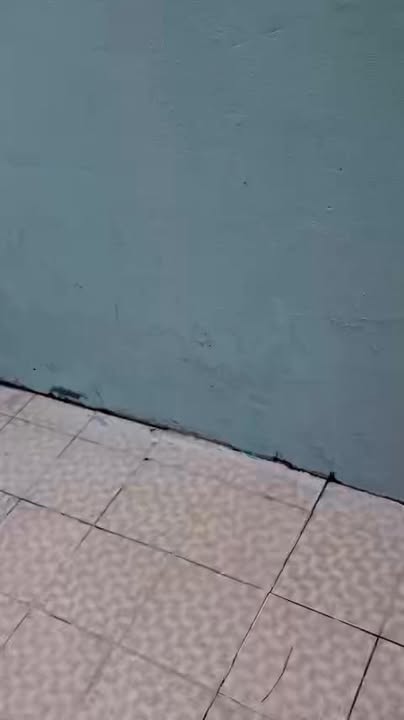 Nhà Hóc Môn 85m² giá 1.8 tỷ - Hẻm 5m, Chính chủ bán gấp!