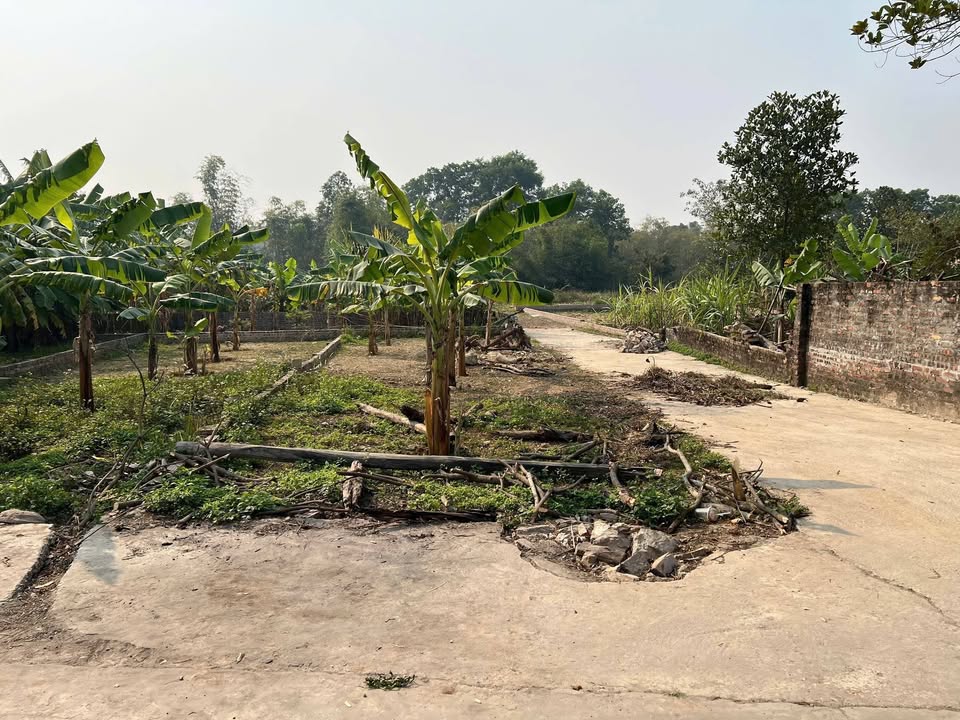 Đất nền lô góc Minh Trí, 76.8m², giá thỏa thuận - Sổ đỏ chính chủ