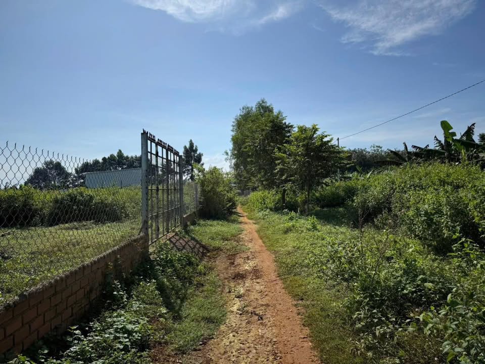 Đất nền Phú Túc 360m² giá 660 triệu - Sổ riêng, cách đường nhựa 200m!