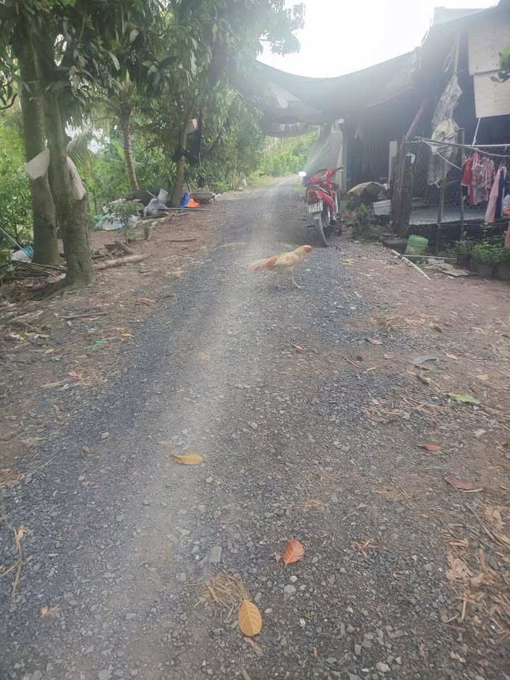 Đất nền 12 Công Lớn, Cao Lãnh - 120000m² giá 2.76 tỷ - Mặt tiền 45m, đường xe ba gác